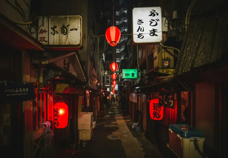 A lantern-lit alley in Tokyo, Japan